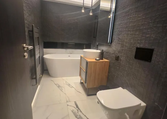 Apartment The Premium Brasov